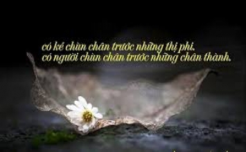 Giống chim bất hiếu